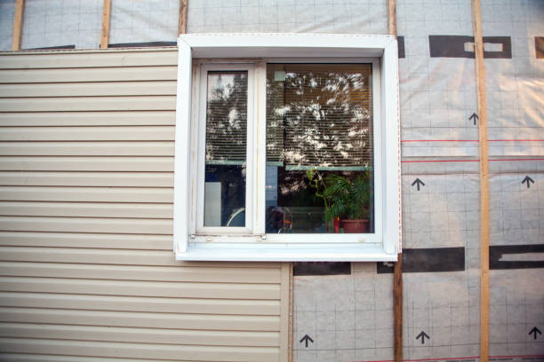 Affordable Siding Repair and Maintenance Services in Clifton, CO